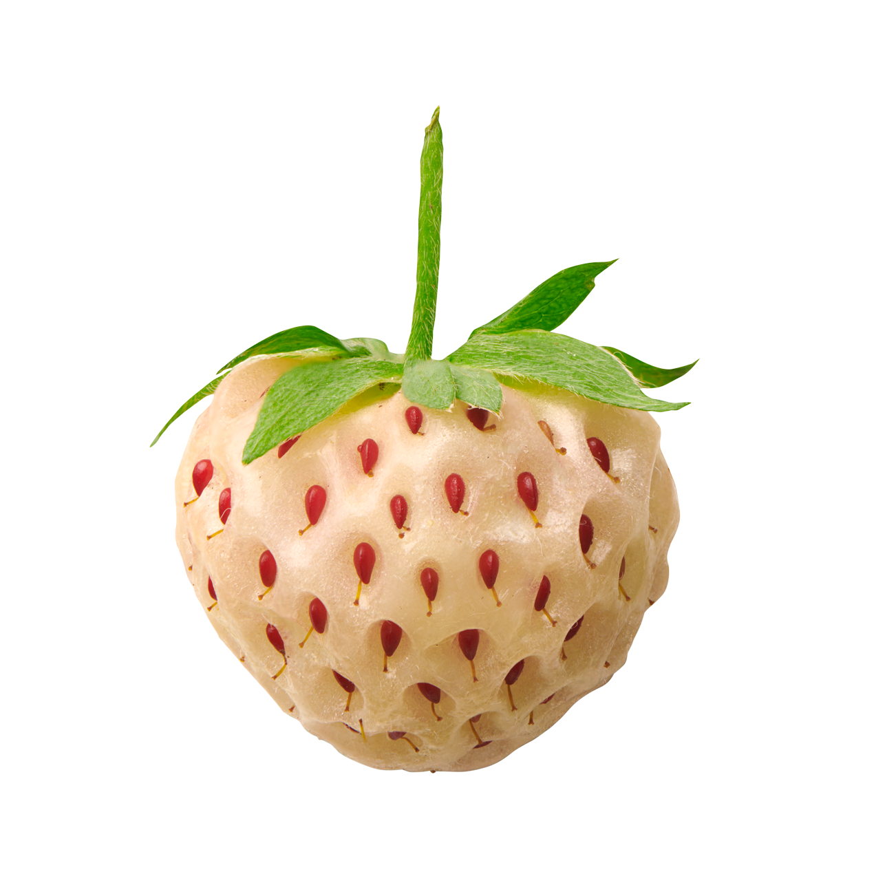 two strawberry